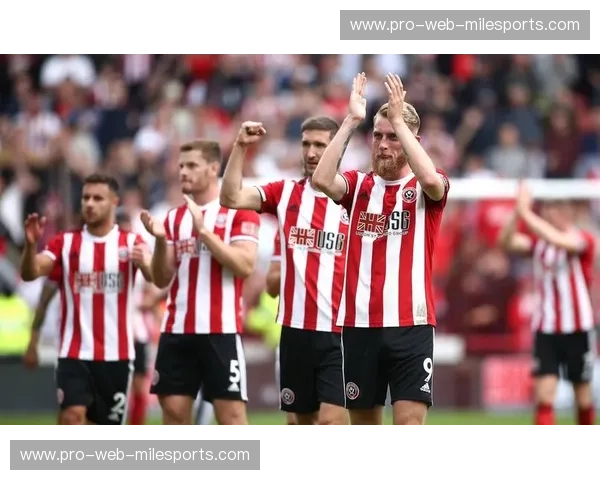 英冠新闻:赛场风云与转会焦点