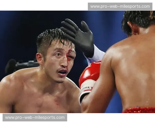 邹市明vs:在拳台边缘,一个时代的进攻与防守